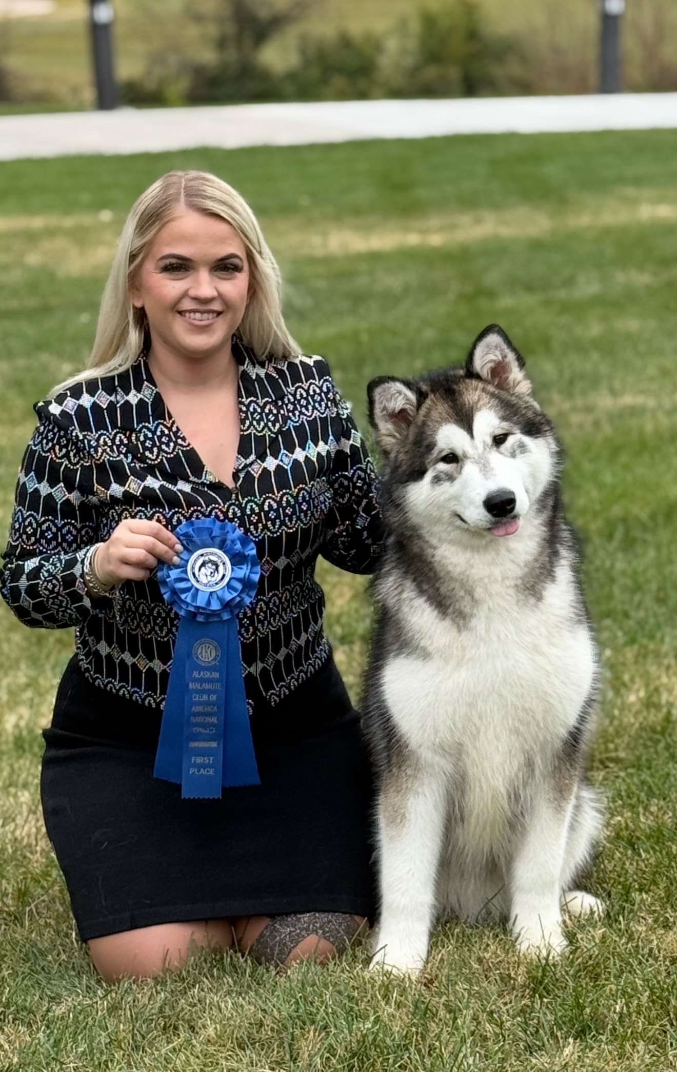 Bebe — Grey & White Alaskan Malamute